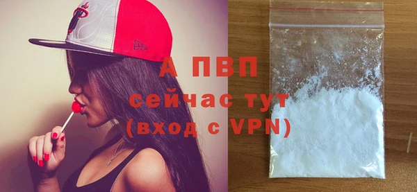 спиды Инсар