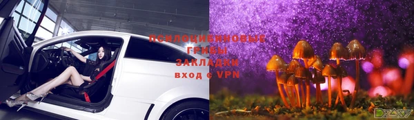прущие крисы Инта