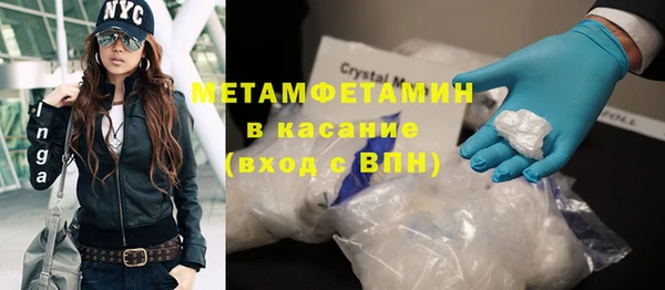 прущие грибы Иннополис
