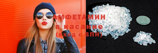 прущие грибы Иннополис