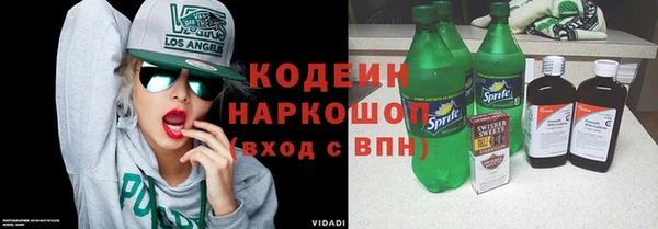 прущие грибы Иннополис