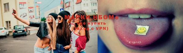 спиды Инсар