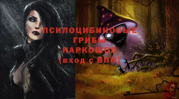 спиды Инсар