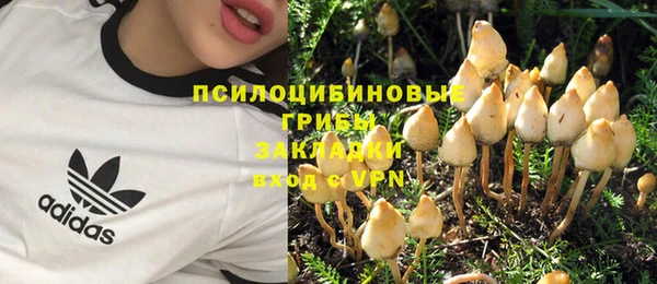 прущие крисы Инта