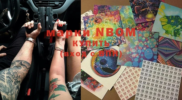 прущие грибы Иннополис