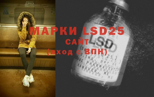 прущие грибы Иннополис