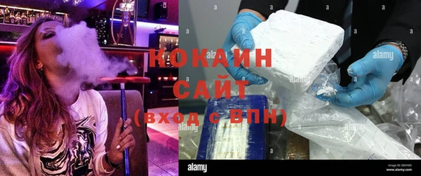 прущие крисы Инта