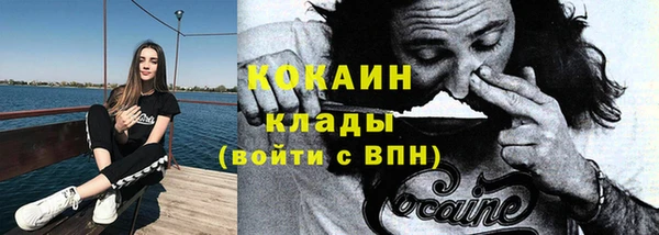 прущие грибы Иннополис