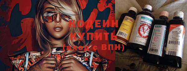 прущие крисы Инта