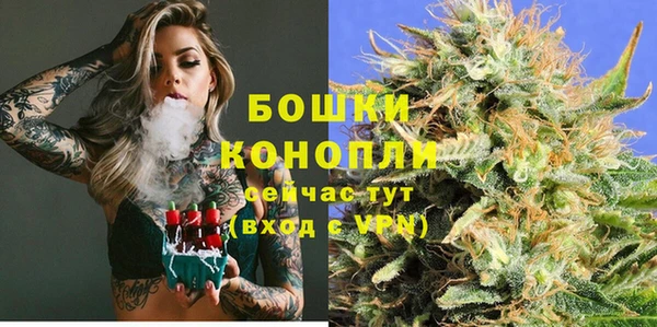 спиды Инсар