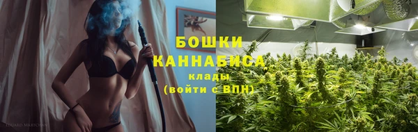 прущие грибы Иннополис